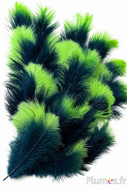 Struisvogel - 30-40 cm - olie-appelgroen